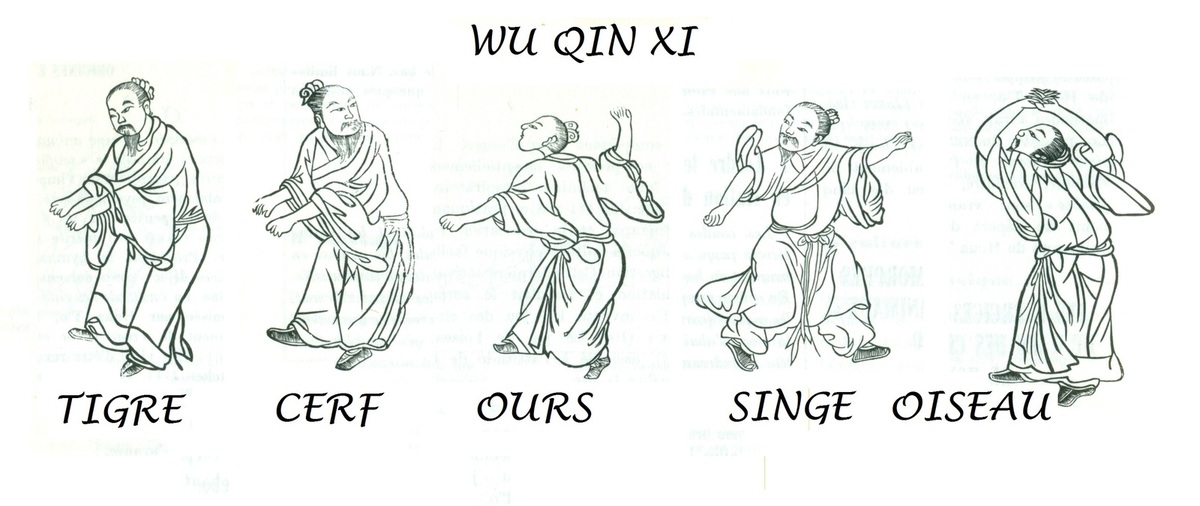 2019-2020-stages-Qi Gong-cinq-animaux